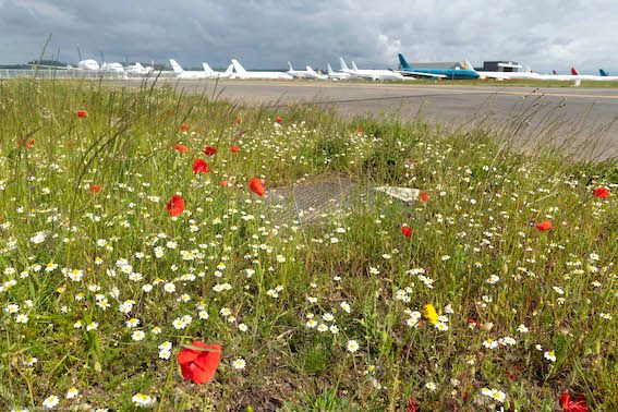 AÉROBIO - L’aéroport Tarbes-Lourdes-Pyrénées labellisé